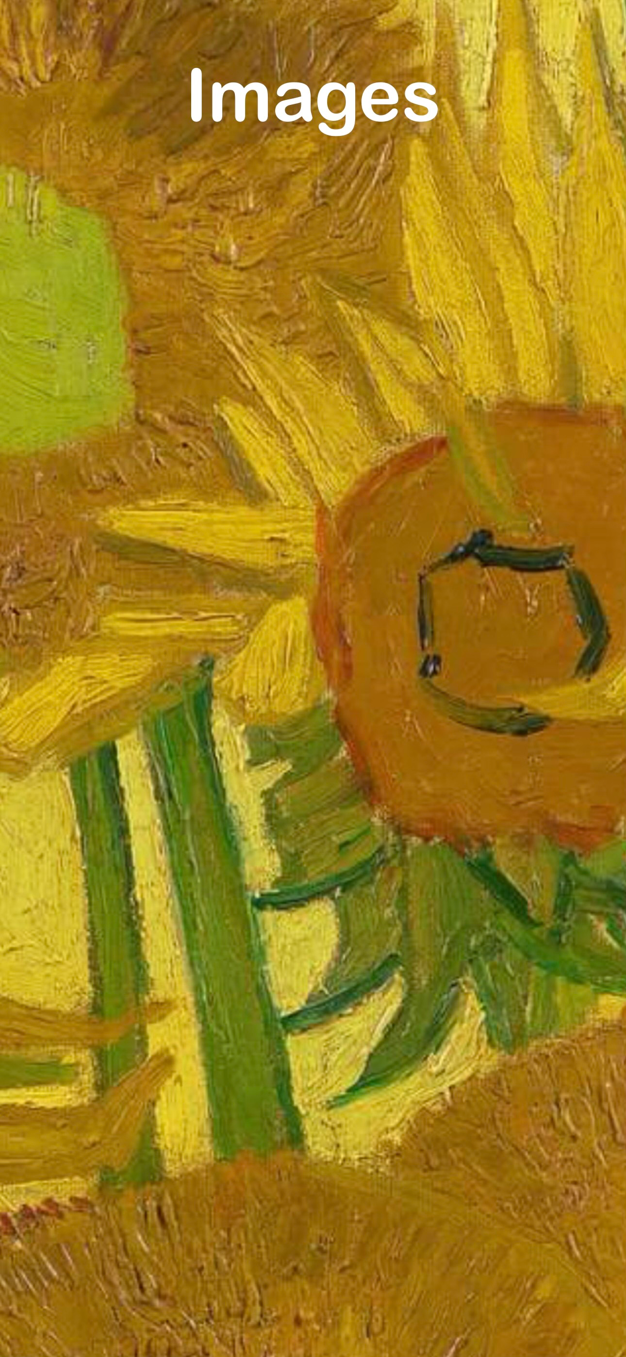 Audio Guide National Gallery screenshot 3