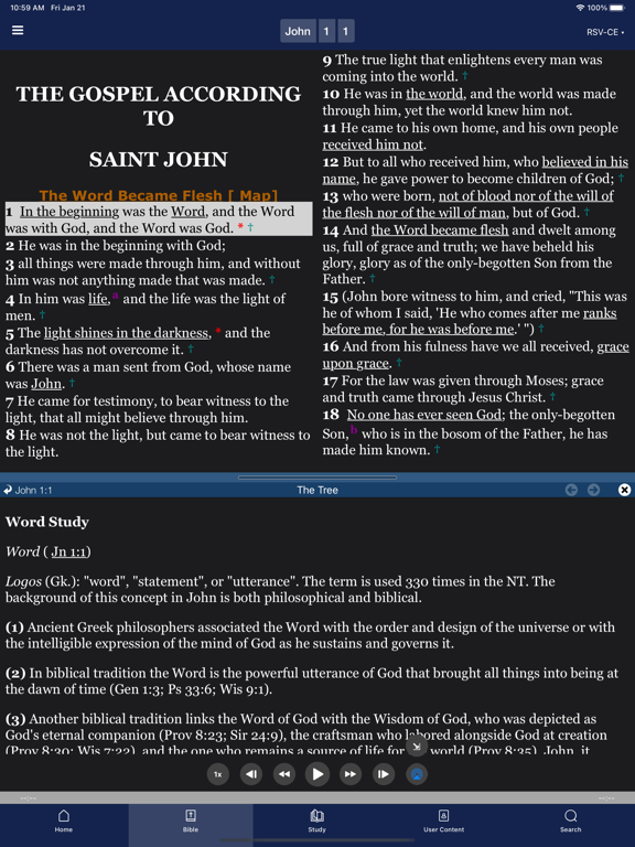 Screenshot #6 pour Bible - Catholic Study