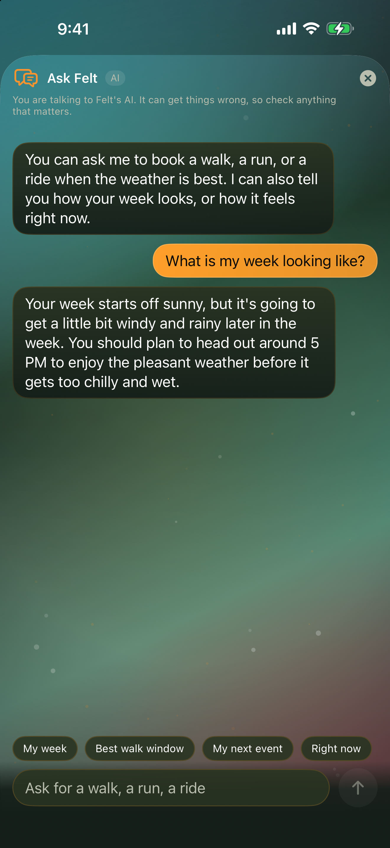 Felt Weather screenshot 3