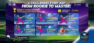 Cricket Or Nothing screenshot 3
