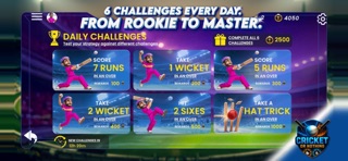 Cricket Or Nothing Screenshot 3 of 8
