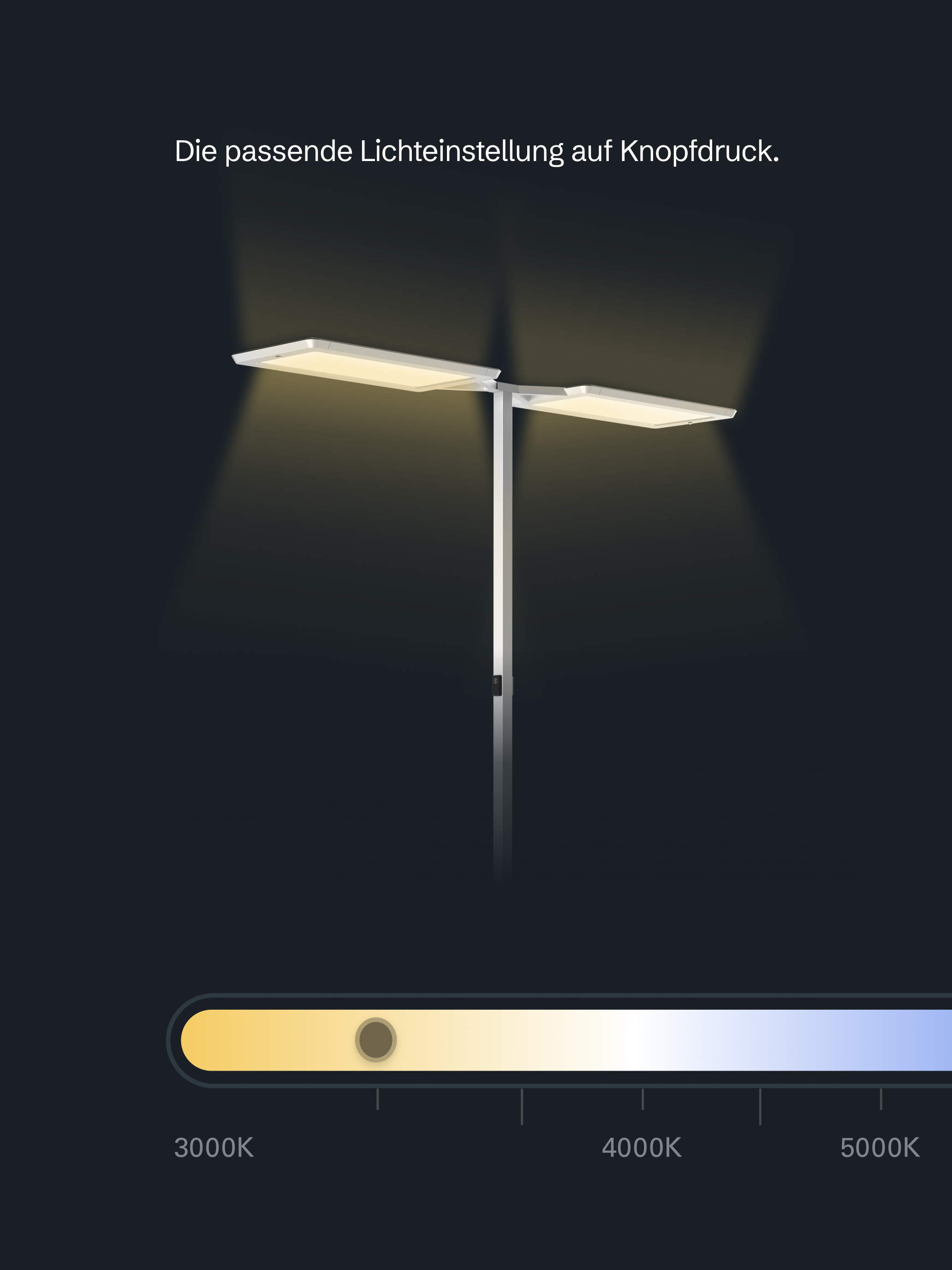 Waldmann LIGHT USER