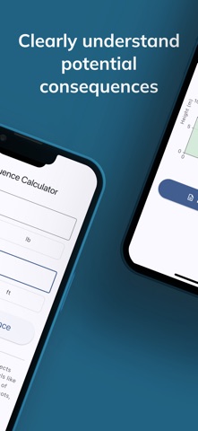 Dropped Object Assessment screenshot