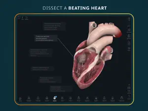 Complete Anatomy for iPad screenshot #12 for iPad