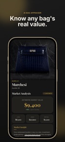 BaggyAI Handbag Value Scanner screenshot