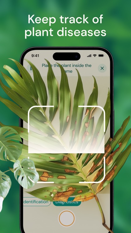 Plant Identification Diagnosis screenshot-3