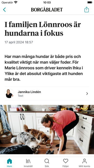 BBL Nyheter Screenshot
