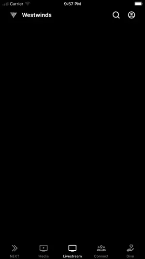 Westwinds screenshot 3