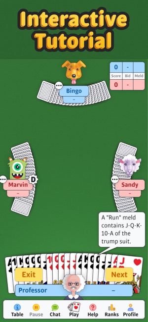 App Store Double Deck Pinochle