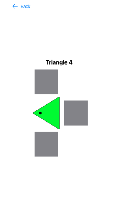 PilotPass Psychometric Test Screenshot