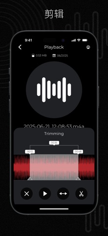 专业录音与回放 screenshot