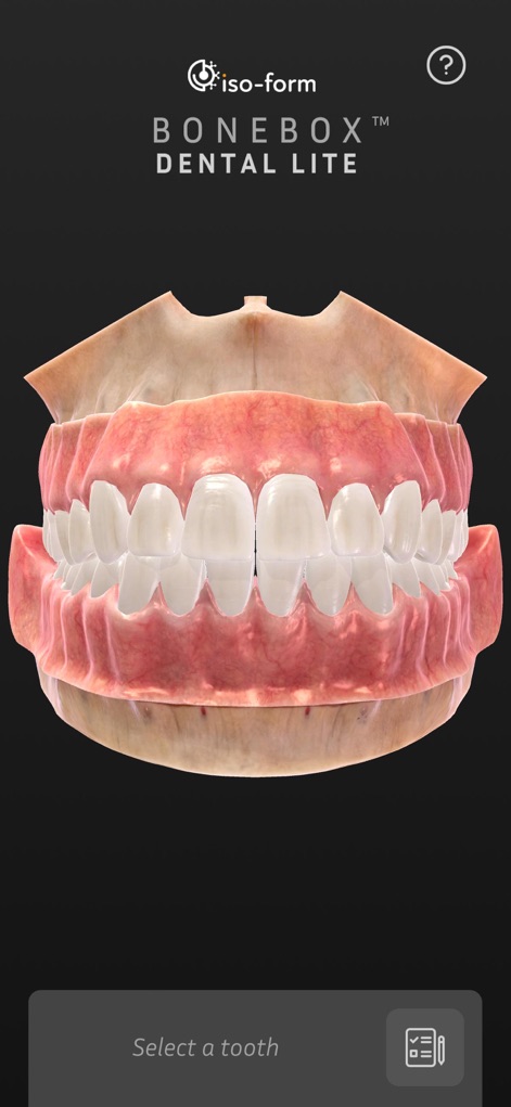 BoneBox™ - Dental Lite - La aplicación presenta la anatomía dental humana completa en 3D, con una representación detallada de las dentaduras superior e inferior, y ofrece una clara función para la selección de dientes individuales.