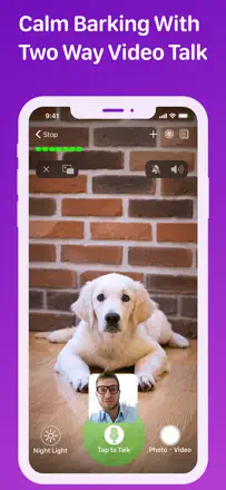 Pet Monitor VIGI: Screenshot 3 von 10