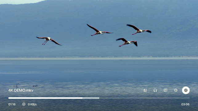 ‎SenPlayer - HDR Video Player Screenshot