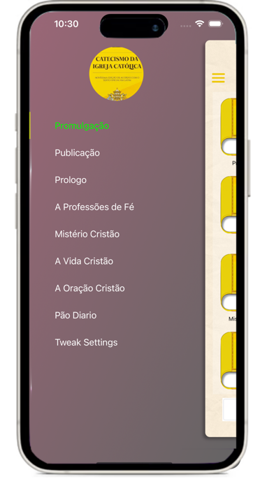 Catecismo da Igreja Católica Screenshot