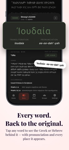 Biblight: Amharic Bible study iPhone screenshot 3