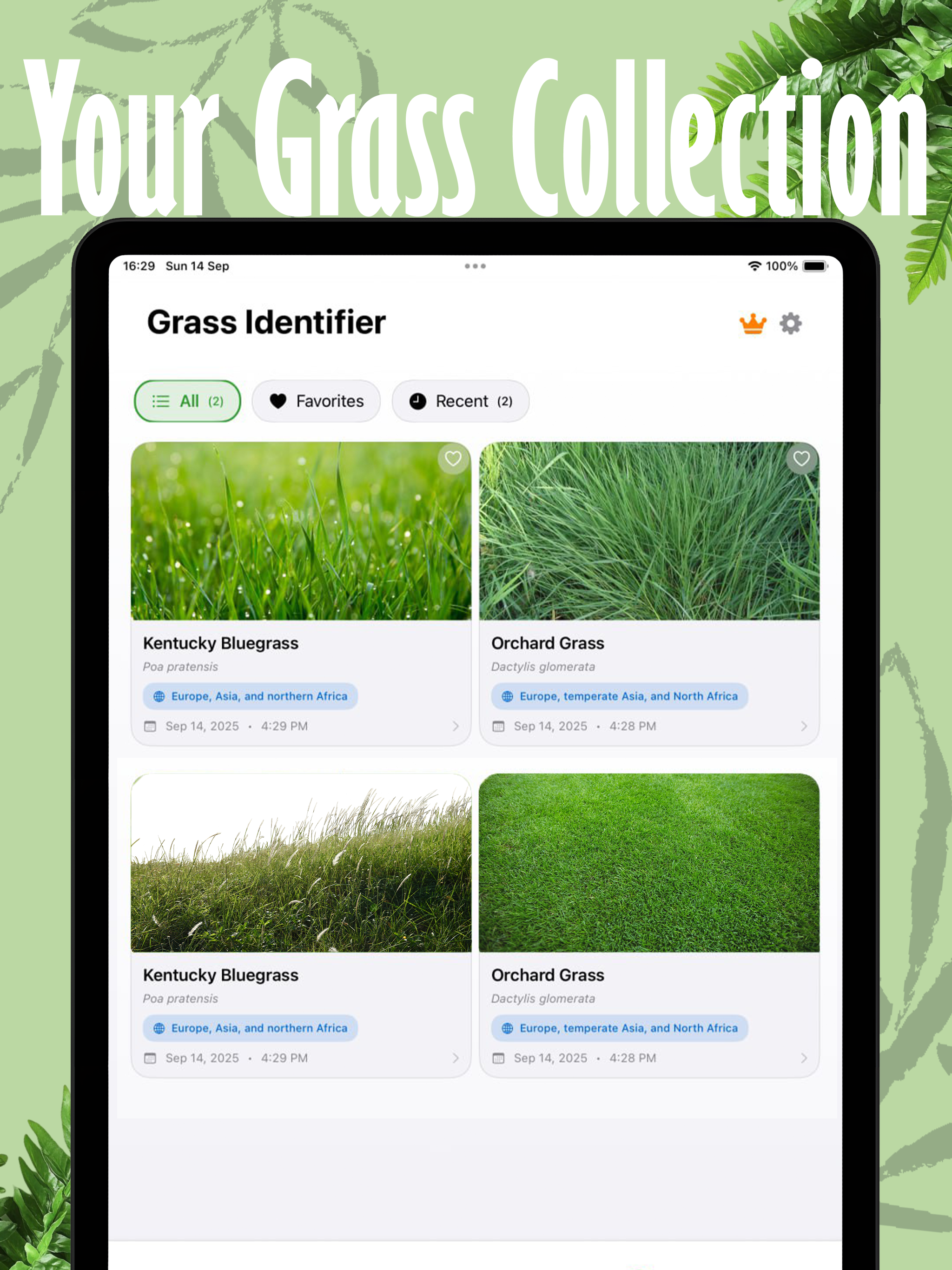 Grass Identifier Grass Scanner