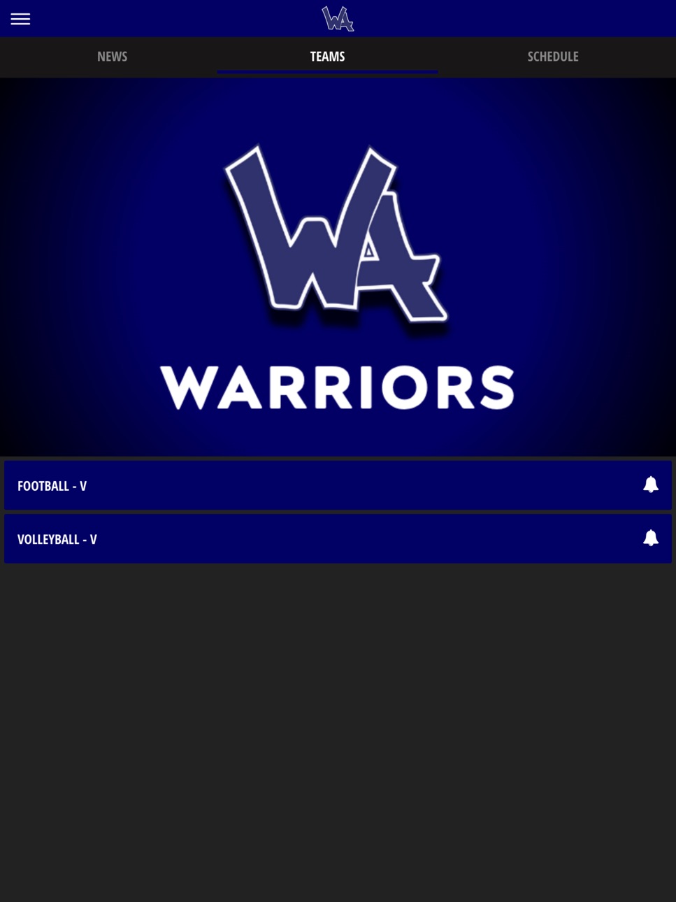 iPad screenshot