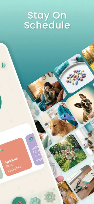 PawDose: Pet Med Tracker screenshot 2