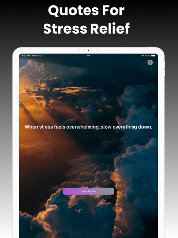 Insight Timer Meditation App iPad screenshot