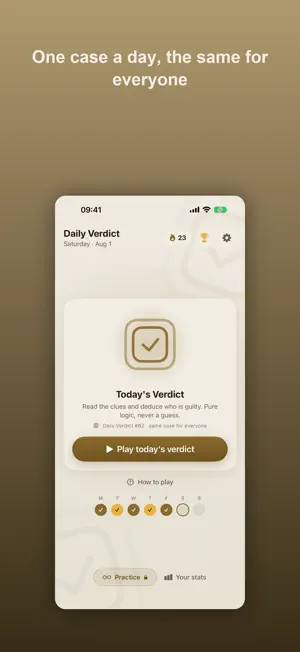 Daily Verdict: Logic Case screenshot 2