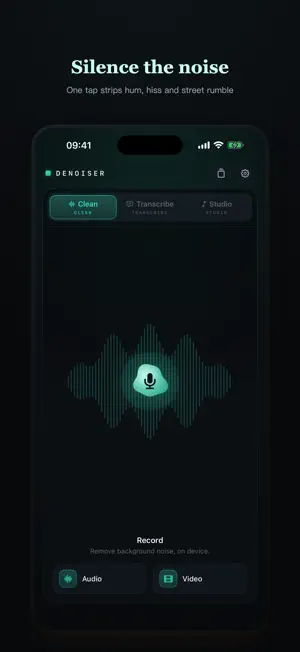 Denoiser: AI Noise Remover screenshot 1