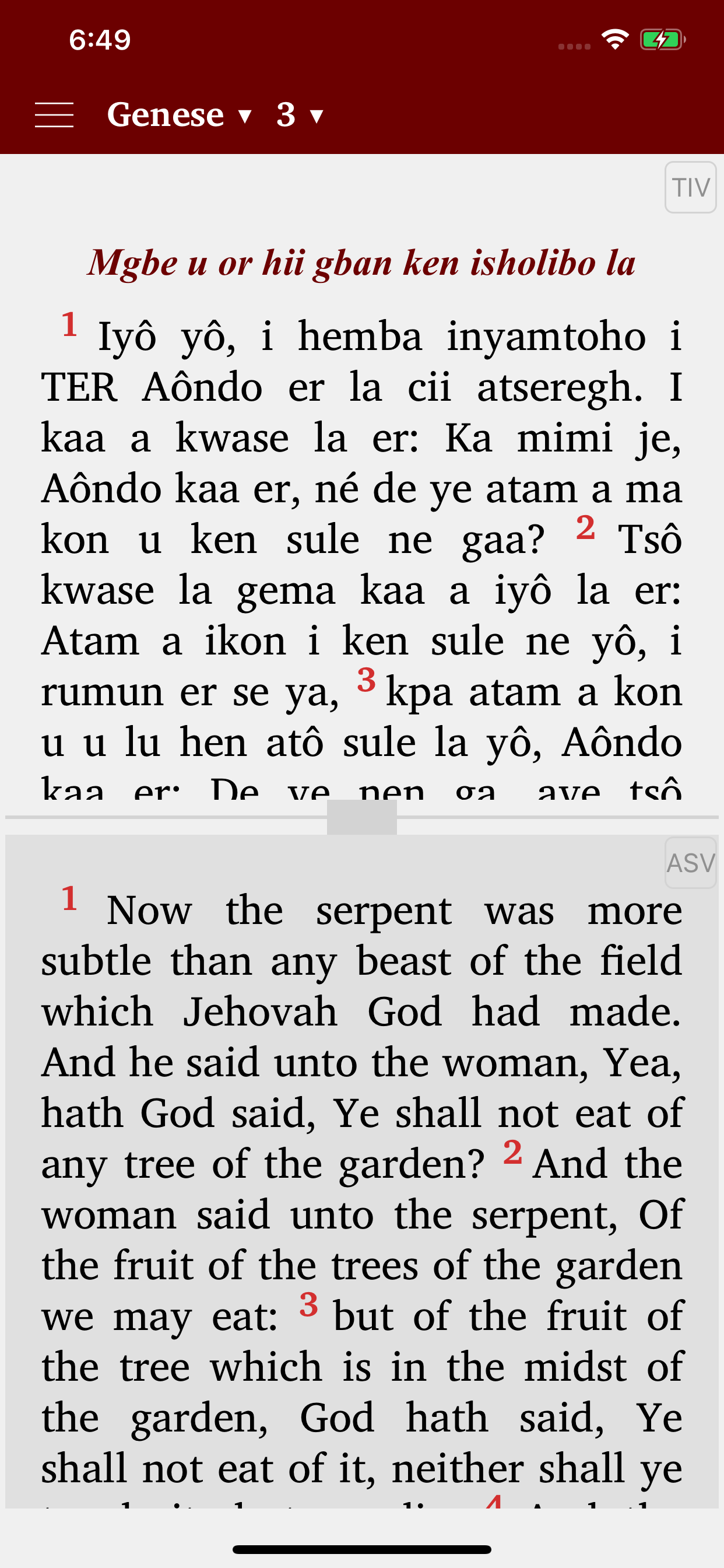 Tiv Bible