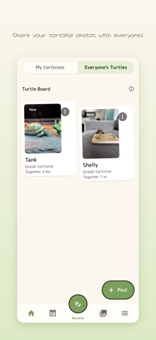 Koura Diary - Turtle Care Log Screenshot 6 of 7