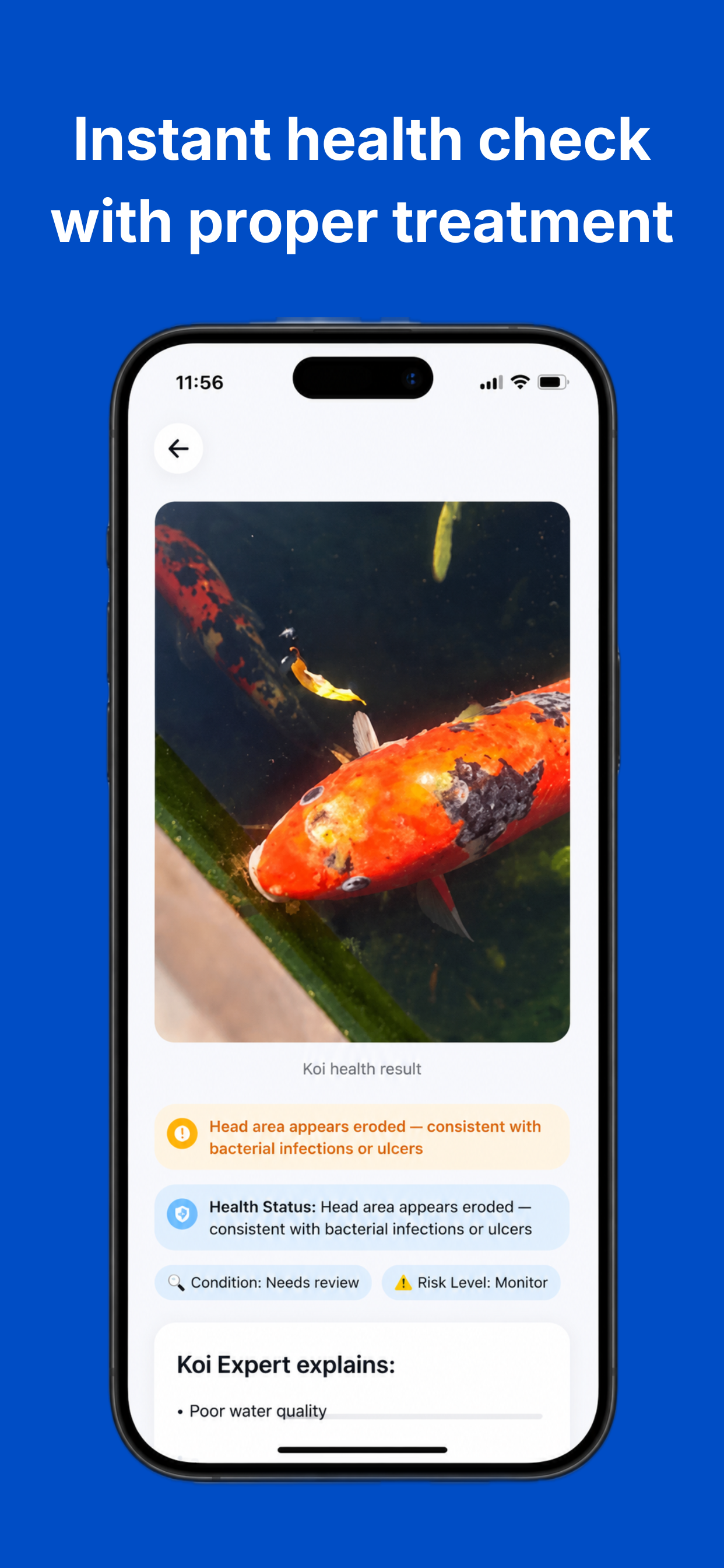 Koi Expert screenshot 3