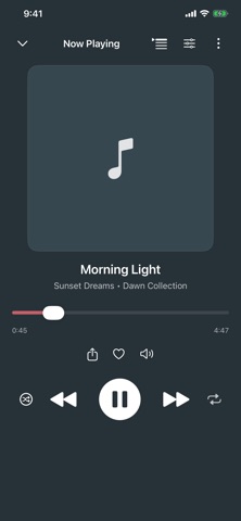 Pi Music Player Screenshot 2 of 8