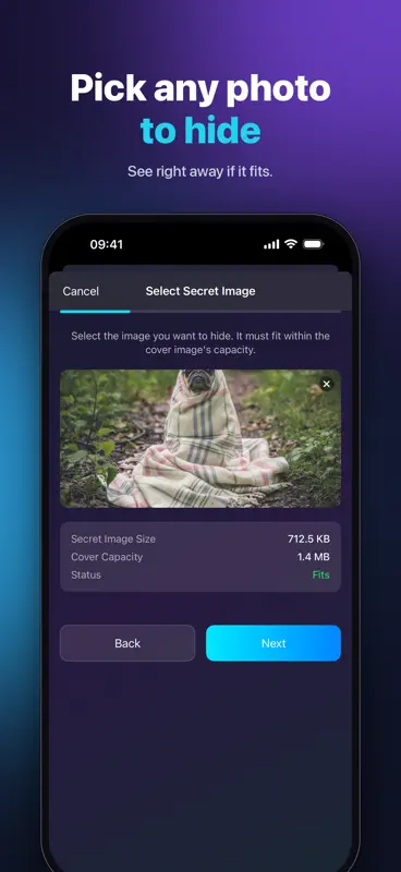 InvisiblePic - Steganography screenshot 5 of 5