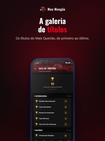 Meu Mengão iPad screenshot 7