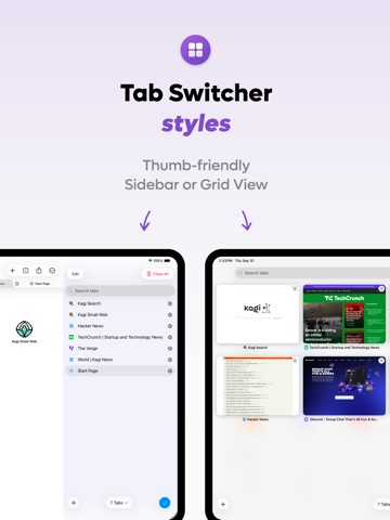 Orion Browser by Kagi iPad screenshot 8