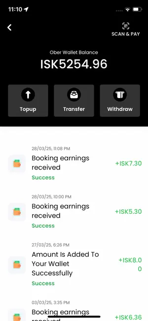 OberCab driver screenshot 4