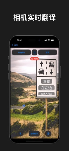 VI Translator screenshot