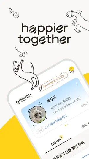 놀로 - 놀 줄 아는 반려가족의 펫놀이터 screenshot 1