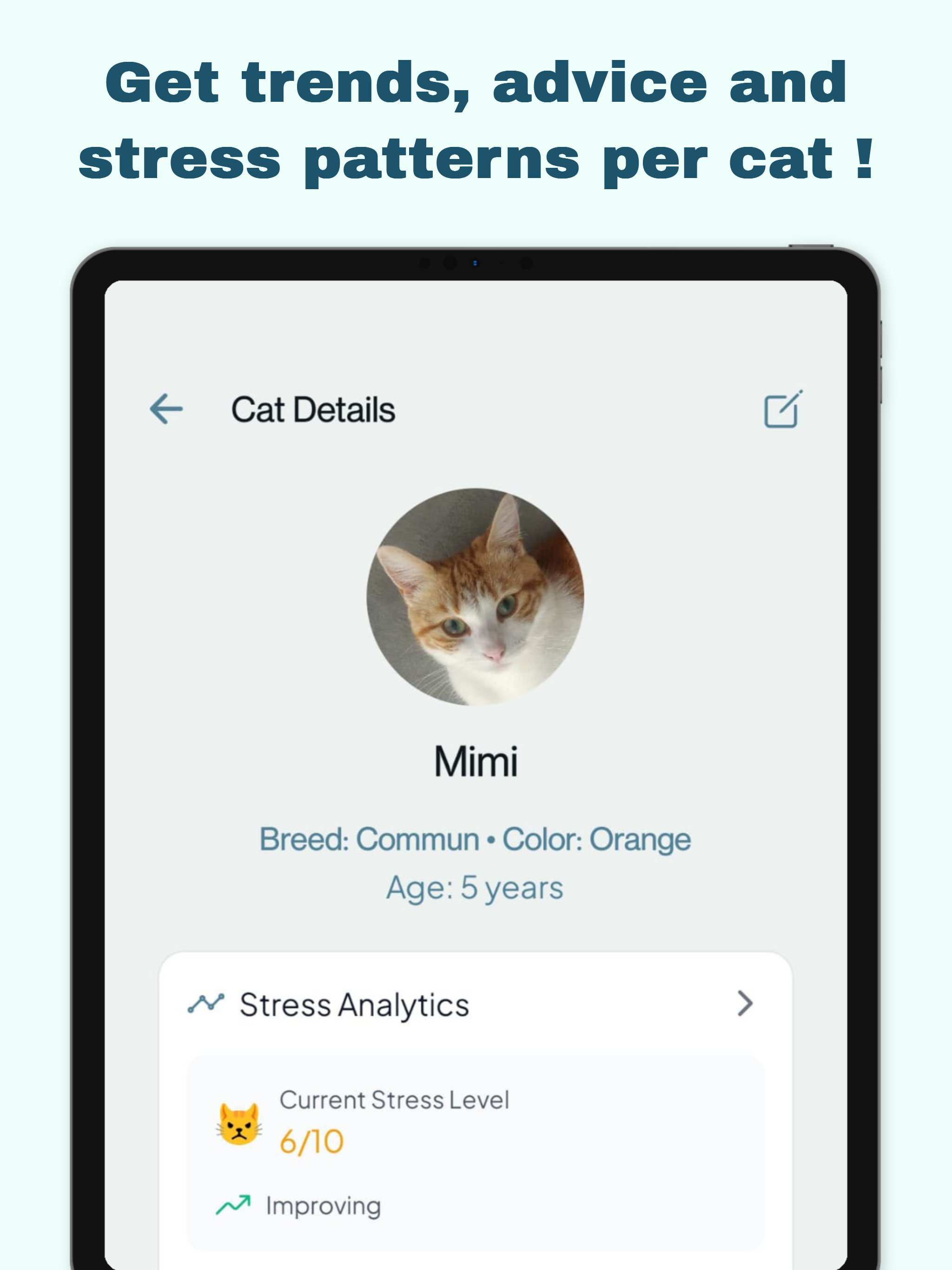Calm Cat | Pet Anxiety Relief