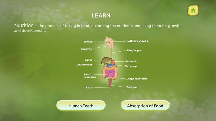 Animal Nutrition Biology