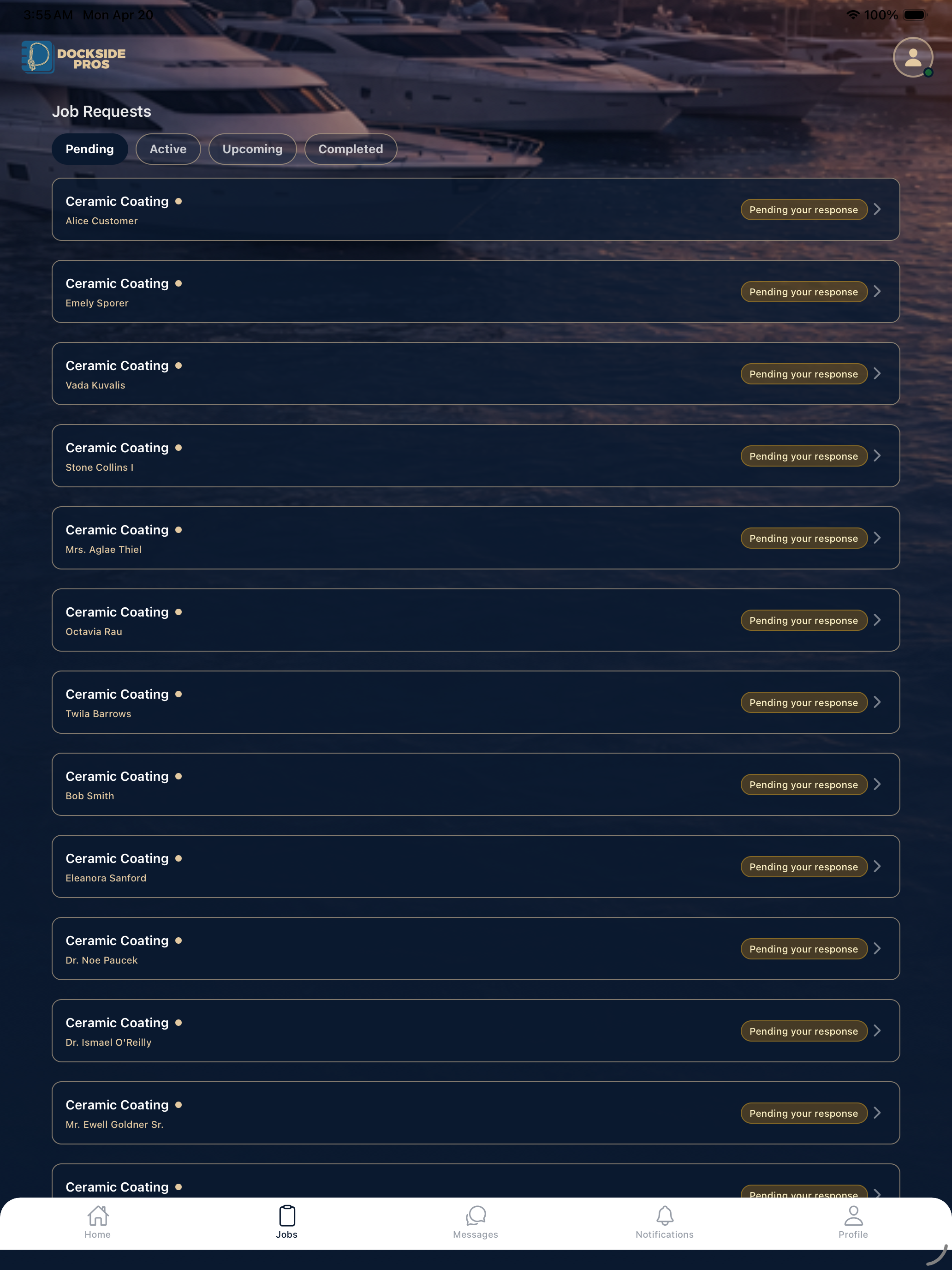 Dockside Pros screenshot 15
