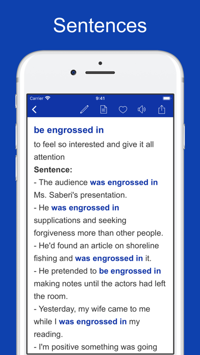 Screenshot #3 pour Common Phrases & Collocations