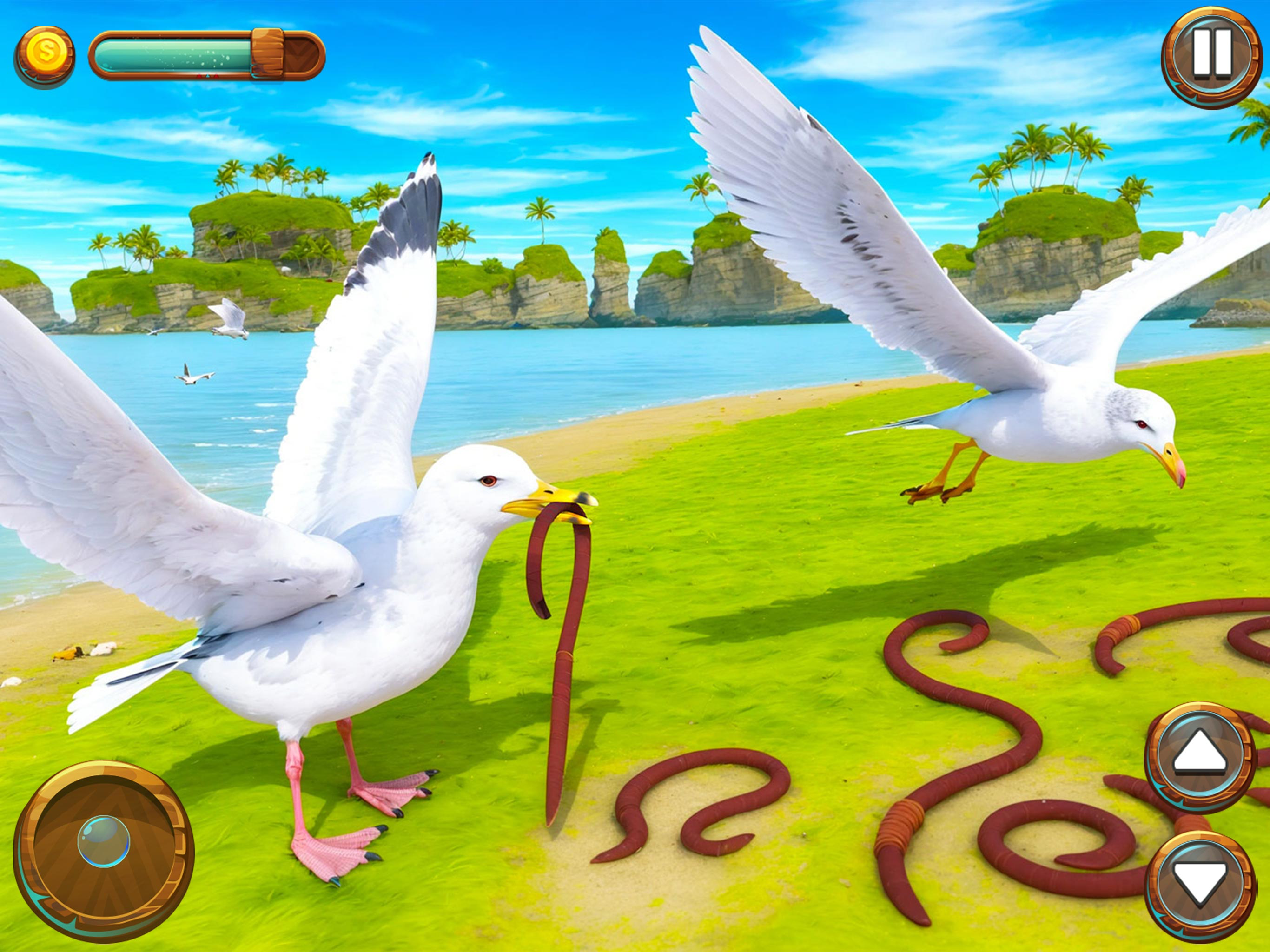Seagull Bird Life Simulator