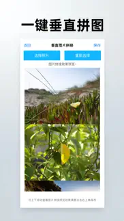 照片拼图-图片拼接九格切图排版 айфон картинки 1