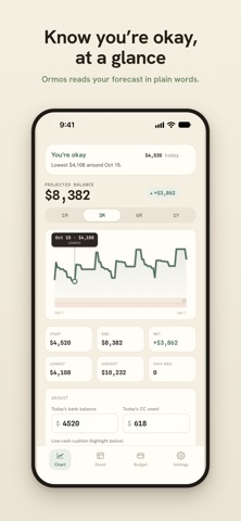 Ormos: Cash Forecast screenshot 1