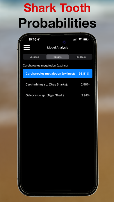 BeachBop® iPhone screenshot 4 - Education app