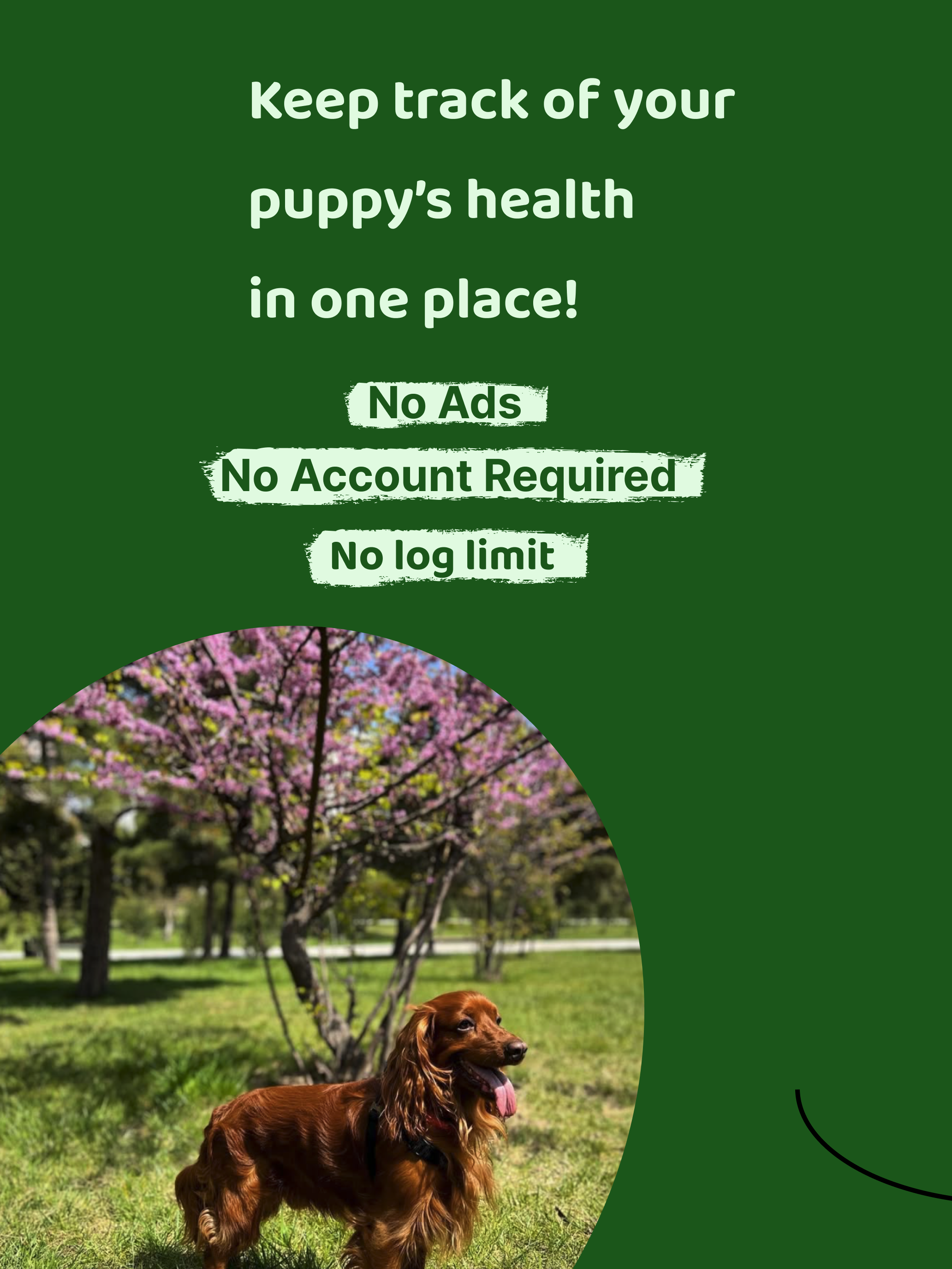 Dog Care with Family - Treaty