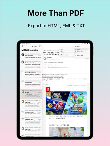 MSG to PDF Converter · Batch iPad screenshot