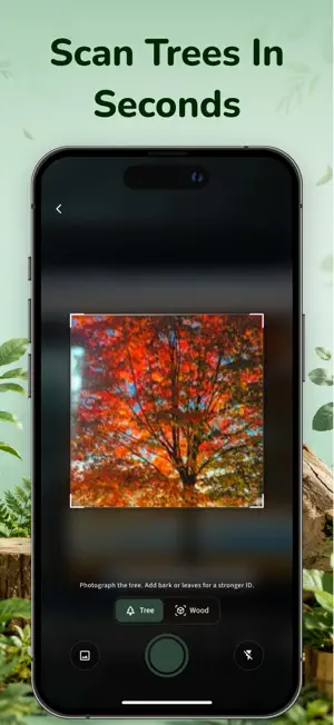 Wood Identifier App - WoodyAI screenshot 2
