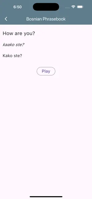 Bosnian Phrasebook screenshot 3