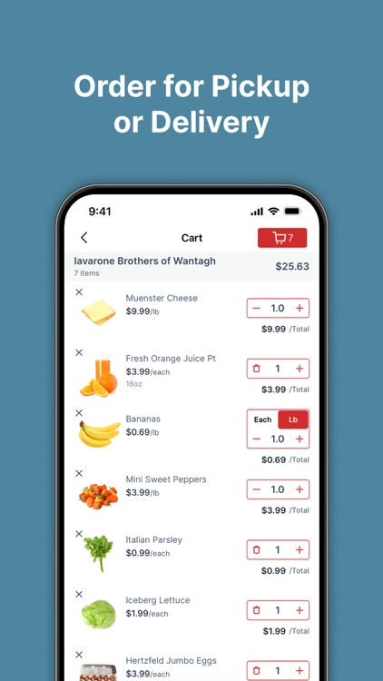 Iavarone Brothers screenshot-4
