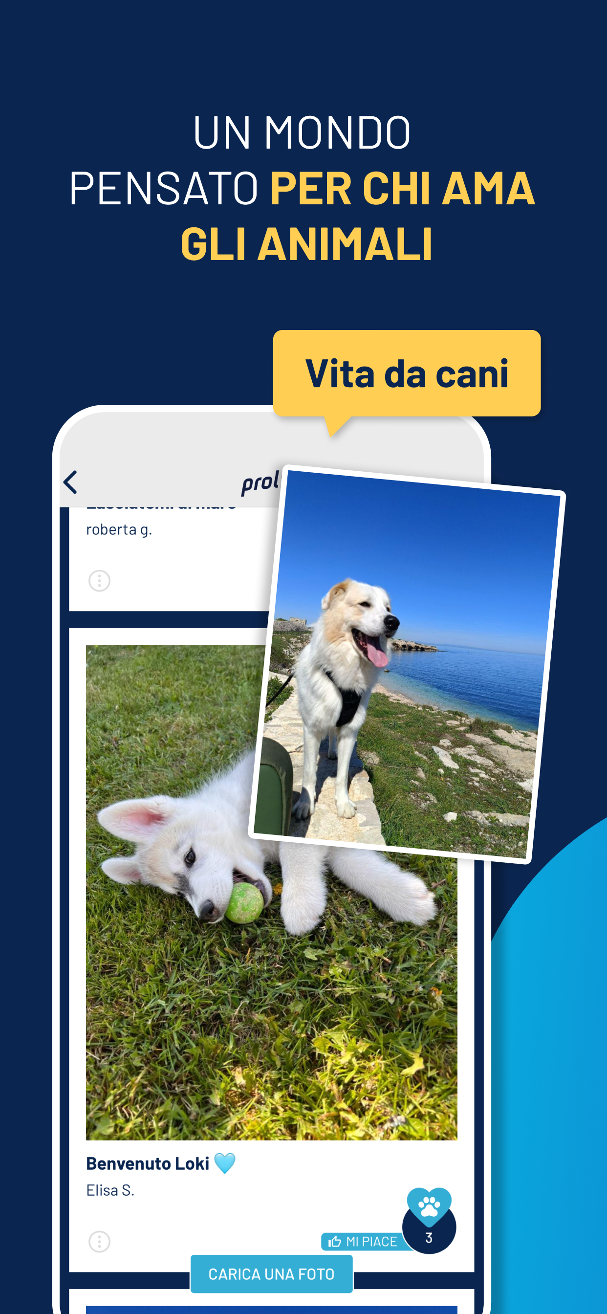 MyProlife screenshot 5